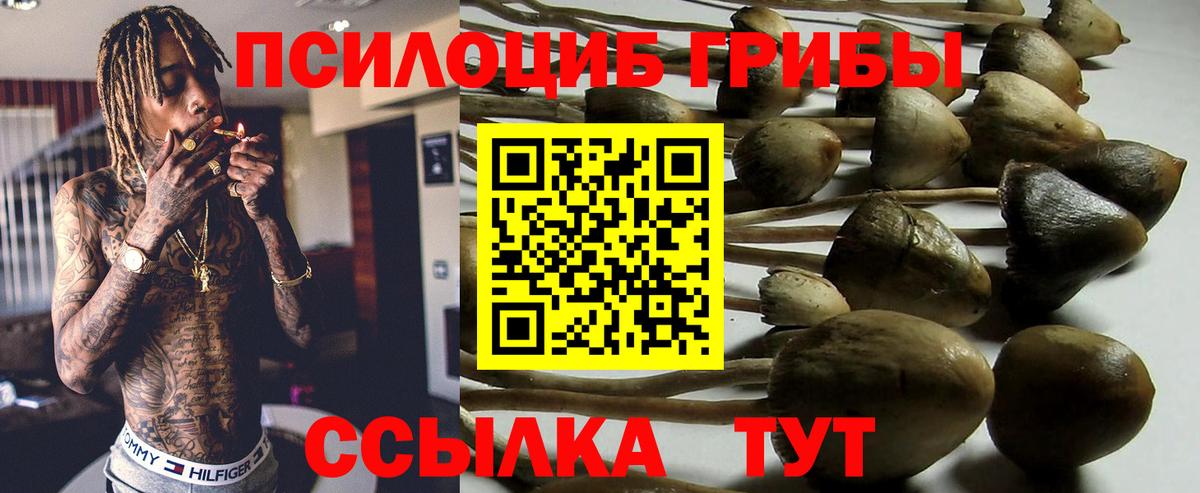 Галлюциногенные грибы мицелий Новочебоксарск